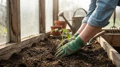 Mitä istuttaa huhtikuussa avomaalle, kasvihuoneeseen ja taimiksi: tallentamisen arvoinen lista